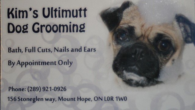 Kim's Ultimutt Dog Grooming